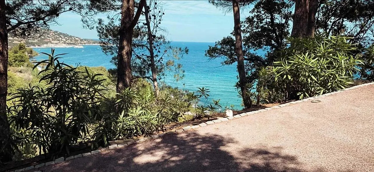 Villa Pura Vida Sainte-Maxime