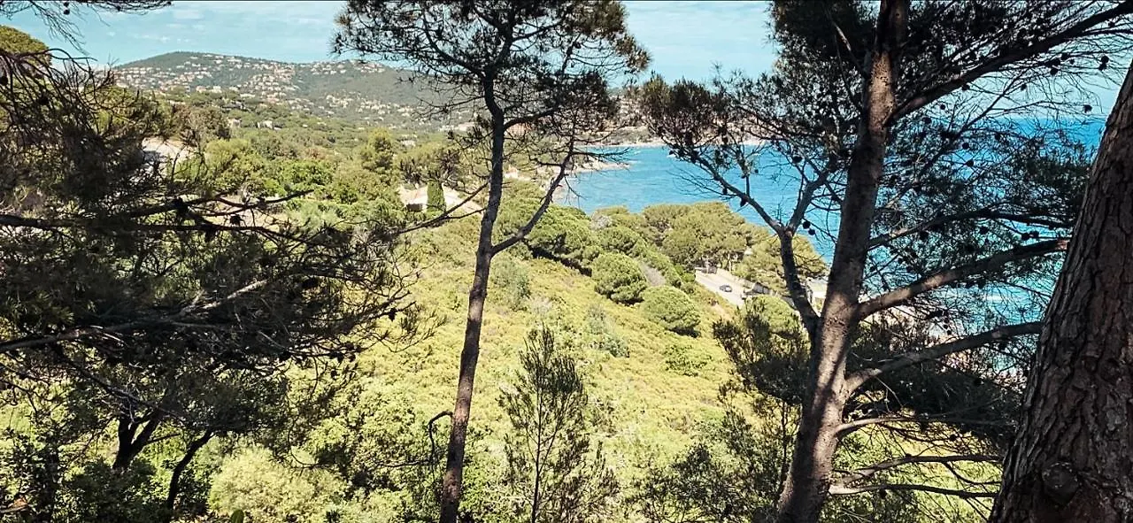 Villa Pura Vida Sainte-Maxime