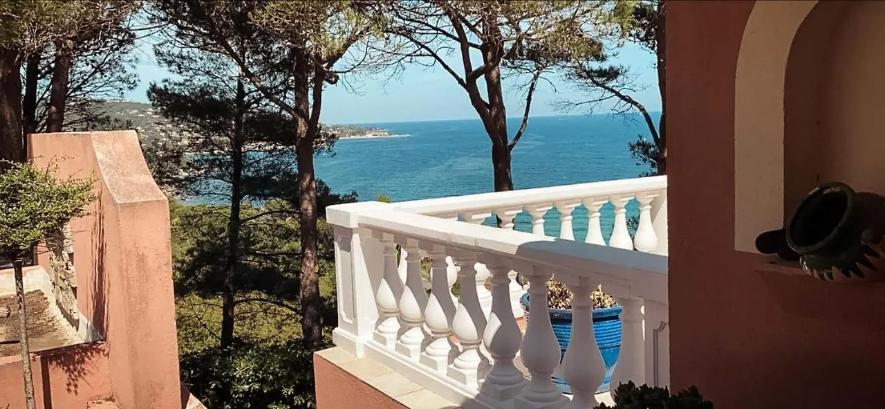 Villa Pura Vida Sainte-Maxime